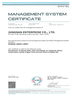 ISO 45001 (DNV.GL)